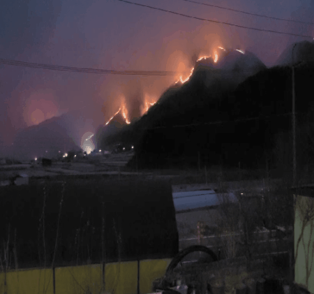 합천-고령 산불...축구장 850개 면적 불탔다