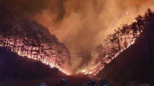 “생수부터 패딩까지”…유통가 산불 피해 긴급지원 빛났다