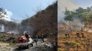 아산시 “산불방지에 시민 협조 절실, 산불 내면 반드시 처벌”