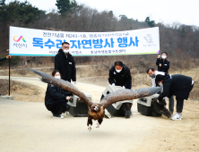 천연기념물 독수리, 서산시 천수만에서 ‘훨훨’