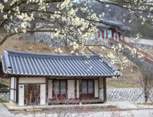 은은한 봄내음 물씬 전하는 ‘부여동매’
