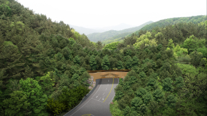충남도, 단절된 생태축 연결 등 산림복원 올해 결실