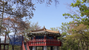 청양군, 천장호 출렁다리 주변 산책로 재정비