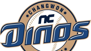 NC 다이노스, ‘음주 폭행’ 휘말린 용덕한 코치에 벌금 700만원 징계