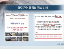[쿠키건강뉴스] “탈모에 효과” 의약품·기기 온라인 불법광고 257건 적발