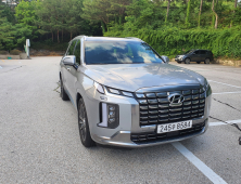 대형 SUV 시대를 연 현대차 '팰리세이드'