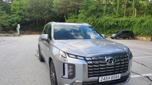 대형 SUV 시대를 연 현대차 '팰리세이드'