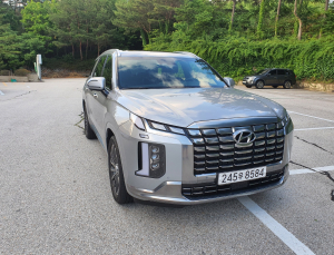 대형 SUV 시대를 연 현대차 '팰리세이드'