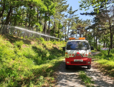 거제시, 산림병해충 예찰⸱방제 대책본부 운영 [거제소식]
