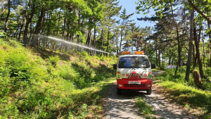 거제시, 산림병해충 예찰⸱방제 대책본부 운영 [거제소식]