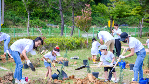 남해군, '2022 그루 나의 인생나무 심기' 추진