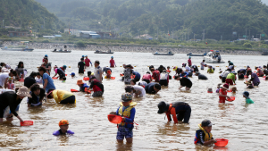 하동 섬진강재첩축제...3년만에 다시 열린다