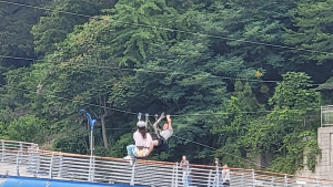 바다에서 먼춰 선 짚라인...'안전불감증' 도마 