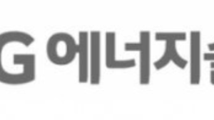 LG에너지솔루션, 美 포드에 배터리 공급 늘린다