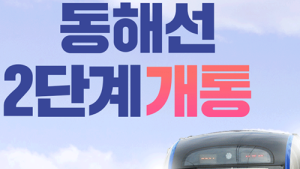 울산 동해선 개통 6개월 현재...169만명 이용