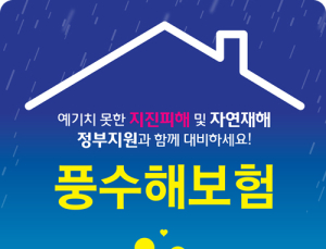 폭우피해, 풍수해보험으로 보상받자