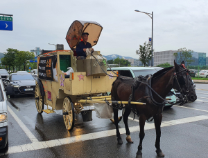 ‘IT밸리’ 판교 한복판엔 마차가 달린다... 왜?