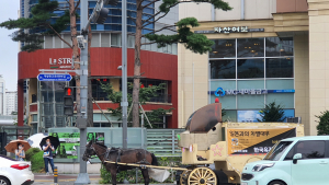 우마무스메가 당긴 고삐, 게이머 연대로 확대되나