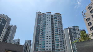 역전된 갑을 관계···계약갱신청구권 사용 감소