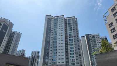 역전된 갑을 관계···계약갱신청구권 사용 감소