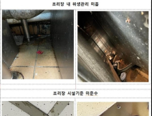 감자튀김 이물질 나온 맥도날드 매장, 위생관리 엉망