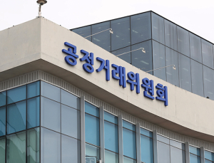 카카오 등 독과점 플랫폼 사업 확장 시 규제