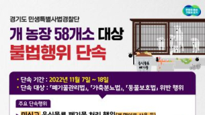 경기도, 음식물 폐기물 먹이로 사용하는 개 사육장 집중 단속