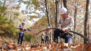 '남산 40배 크기 숲 조성' SK입업 설립 50주년 맞아