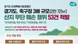 경기도, 축구장 3배 규모 산지 무단훼손 적발