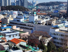 '경상도보리문딩이' 위해 헌신한 호주 의사 맥켄지家