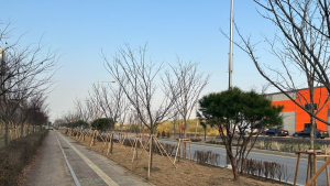 수원시, 델타플렉스 산업단지 주변 미세먼지 차단숲 조성