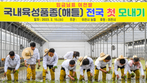 이천쌀 첫 모내기... 올해도 풍년 예감 