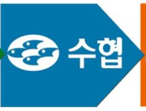 조합장 선거, 위반행위 잇따라 적발