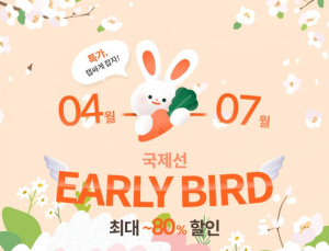 에어서울, 국제선 노선 ‘최대 80% 할인’…얼리버드 모여