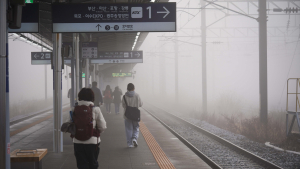 안개 자욱한 출근길