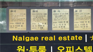 치솟는 월세에도 참고 살아야 하는 대학생들