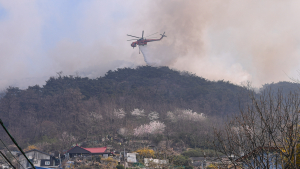 '인왕산 화재' 연기로 자욱한 홍제동 개미마을