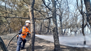 서울시, 4월 산림·건축공사장 화재 빈번…담배꽁초 부주의 많아