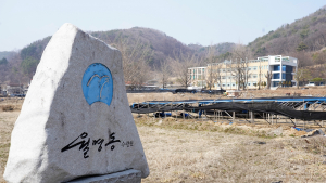 ‘JMS 성폭행 가담’ 정조은 등 간부들, 6월 첫 재판