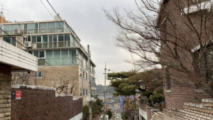 전세사기 가담의혹 공인중개사 99명 덜미