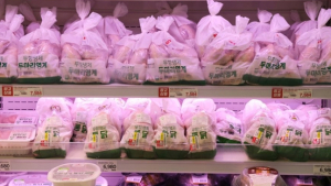 “치킨값 또 오르나”…닭고기 수급불안에 식품업계 ‘긴장’