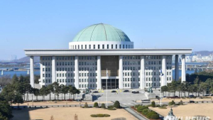 대통령 거부권, ‘횟수 제한’ 없을까