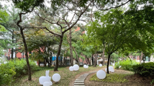 성동구, 빗물 정원 조성...종로구, 반부패·청렴 추진단 출범 [우리동네 쿡보기]