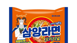 삼양식품, 삼양라면 등 12개 제품 평균 4.7%↓