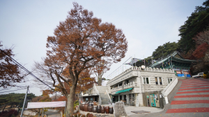 조명희, 경향신문 ‘정치자금 전용 의혹’ 해명…“사실관계 바로잡길”
