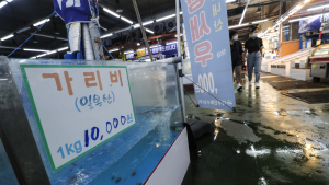 日 어패류 수입 석달 연속↓ …맥주는 수입액 1위 ‘탈환’