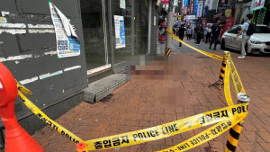 신림 칼부림 범인, “펜타닐 복용” 진술 후 번복…검사결과 '음성’