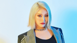 손승연 측 “전 소속사와 분쟁에 안성일 개입 안 해”