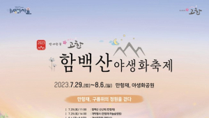 ‘구름위 정원을 걷다’ …정선함백산야생화축제 29일 개막