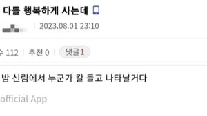 신림역 모방범죄 기승…7번째 살인예고 글 올라와
